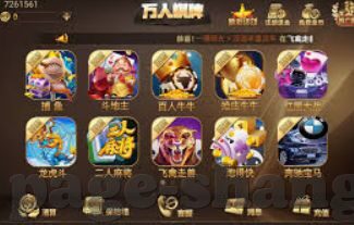 WePoKer德州官网下载-探索WePoKer德州扑克，官网下载指南与全面评测